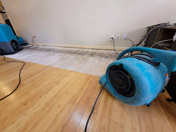 Professional Water Damage Repair technician working in Levittown, PA